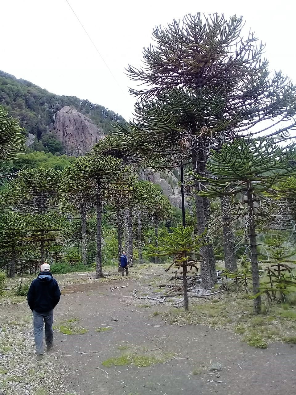 Evaluación ambiental