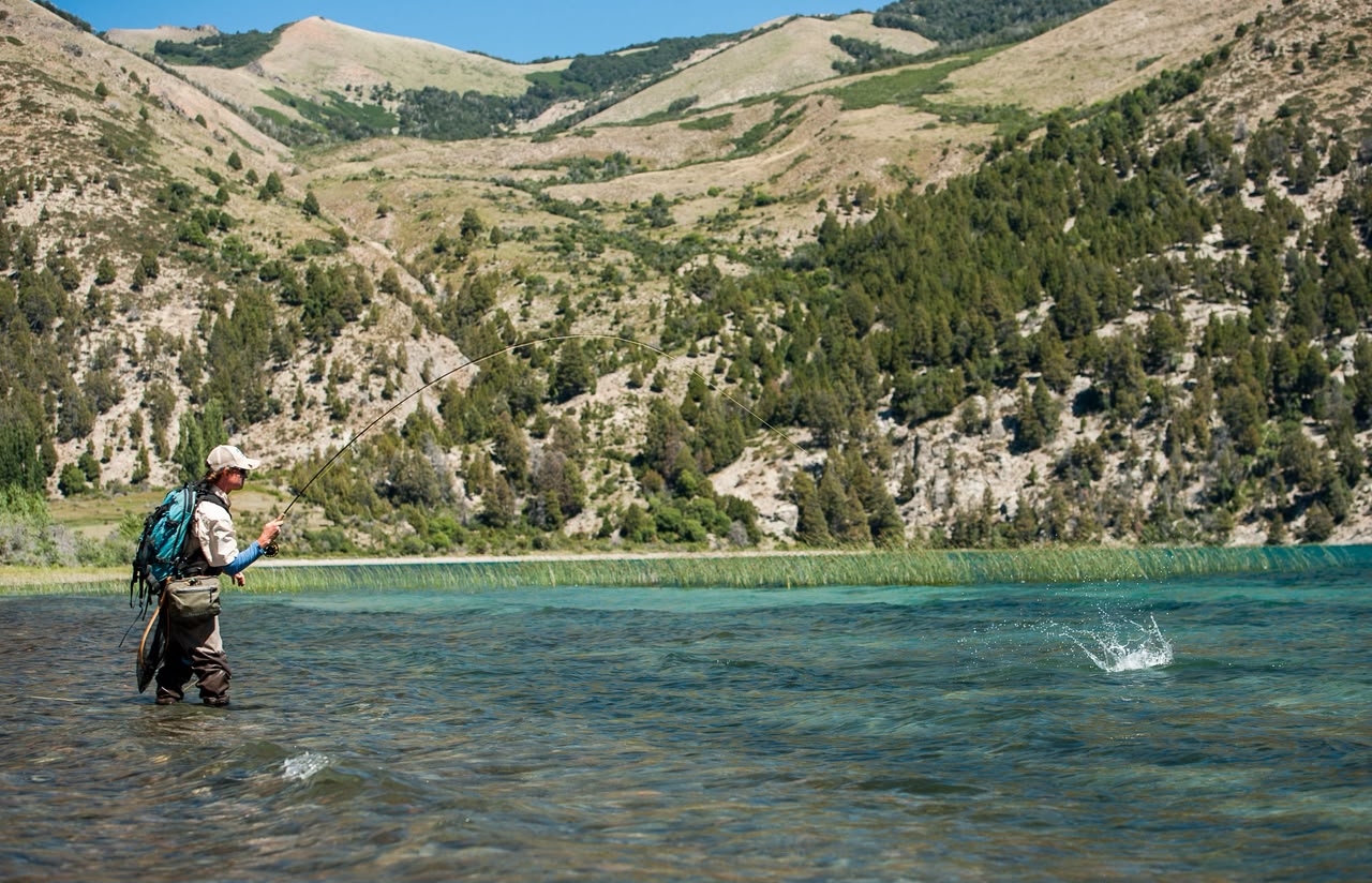 Truchas en la Patagonia