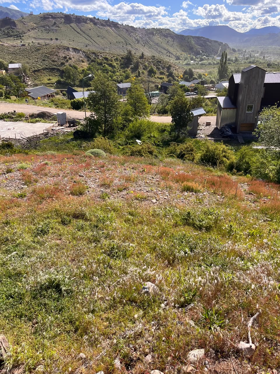 Gestión ambiental